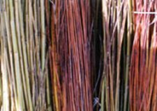willow bundles